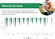 In October, similar as at the beginning of the year, large drop in natural increase in Latvia In October, similar as at the beginning of the year, large drop in natural increase in Latvia