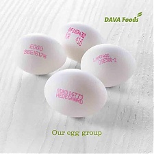 190404_dava_food.jpg