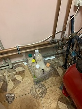 190502_narcoLV.jpg