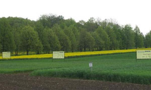 090212_linas_agro.jpg