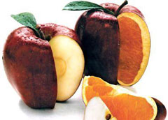 090513_gmo.jpg