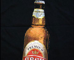 090901_cesu_alus.jpg