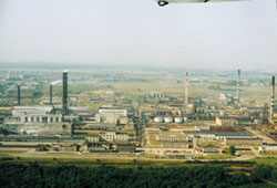 000_lifosa.jpg
