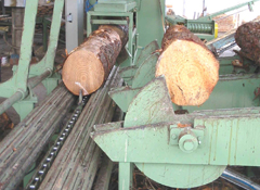 00_sawmill.jpg
