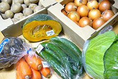 100705_Baltijas_darzeni.jpg