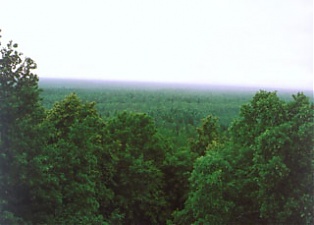 100706_sliteres_mezi.jpg