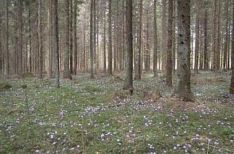 100721_les_ee.jpg