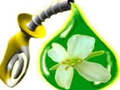 100729_Jaunpagastsplus.jpg 100729_Jaunpagastsplus.jpg