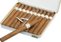 quick facts about tobacco Tobacco Statistics & Facts – ASH > Action on Smoking & Health