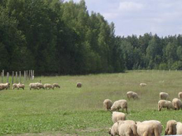 110418_selsk_hozjajstvo.jpg