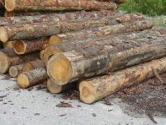 110801_stora_enso.jpg