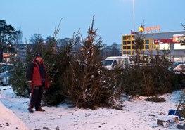 111220_elki_prod_ee.jpg