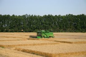 120228_trigon_agri.jpg