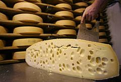 120811_vilk_pienine.jpg