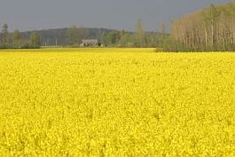 130605_zeml_sels_hoz_lv.jpg