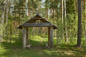 160815_RMK_state_forest_est.jpg