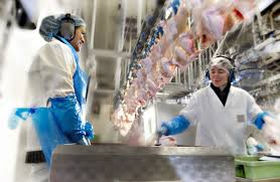 161114_hk_scan.jpg 161114_hk_scan.jpg