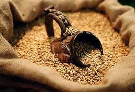 161117_baltic_grain.jpg