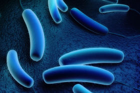 170315_legionella.jpg