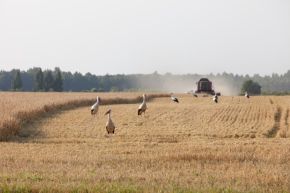 170706_selsk_hozjas_lv.jpg