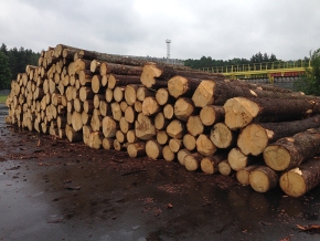 180403_ltfirewood.jpg