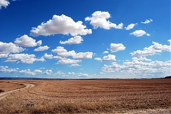 180802_field.jpg