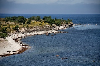 190429_pakri.jpg