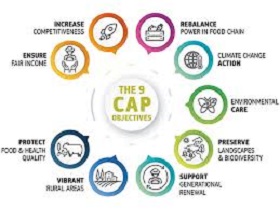 191016_CAP.jpg