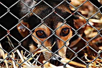 200421_shelter.jpg