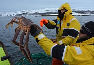 210720_crab_snow_norv.jpg