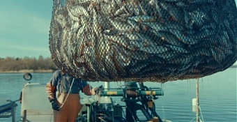 090920_baltic_sea_fishing.jpg