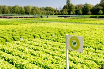 250920_organ_farming.jpg