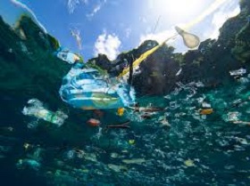 201013_single_plastic.jpg