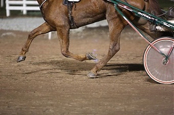 201014_racing.jpg