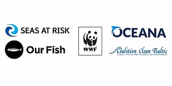 201020_ngo_fish480.jpg