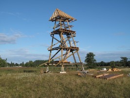 110913_viska_ptici_milest.jpg 110913_viska_ptici_milest.jpg