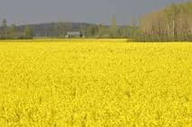 160720_agriculture_lat.jpg