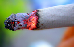 090831_cigarette.jpg