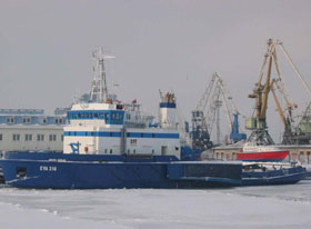 100210_parnu_port_sad.jpg 100210_parnu_port_sad.jpg