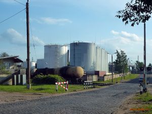 150525_woodison_term_port.jpg