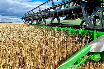 201015_wheat.jpg