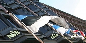 200409_nib.jpg 200409_nib.jpg