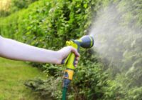 Liela daļa dārznieku rīkojas nepareizi: agronomi nosauc vispiemērotāko laiku dārza laistīšanai
