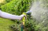 Liela daļa dārznieku rīkojas nepareizi: agronomi nosauc vispiemērotāko laiku dārza laistīšanai