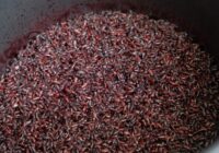 Mēs izmēģinājām trīs paņēmienus, kā no pannas noņemt piedegušos rīsus, un viens no tiem pārspēja pārējos