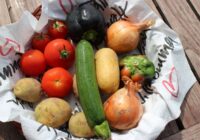 Japāņu metode kā pagarināt dārzeņu uzglabāšanas laiku