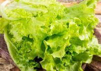 Salāti saglabāsies svaigi pat 10 dienas – kā tos pareizi uzglabāt ledusskapī