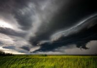 Pērkona negaisi, lietavas un spēcīgs vējš, sinoptiķi paziņojuši, kas mūs gaida tuvākajās dienās