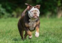 Aunam jāsargā savs laiks, bet Dvīņus šī aizvērtā durvju epizode var novirzīt uz ko daudz labāku; 28.jūnija dienas horoskops visām zodiaka zīmēm