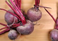 Augi, kurus vienmēr vajadzētu stādīt blakus bietēm, lai iegūtu svaigu un aromātisku ražu